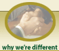 Franchise Insights, Franchise Consultants Why we are different